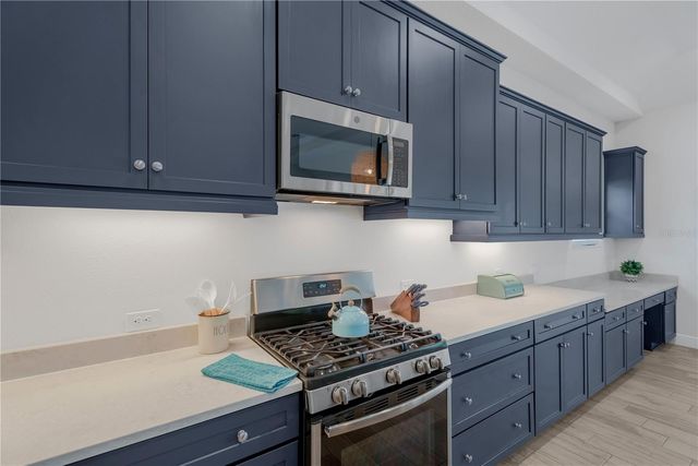 3010 ALBION WALK PLACE, Valrico, FL 33596