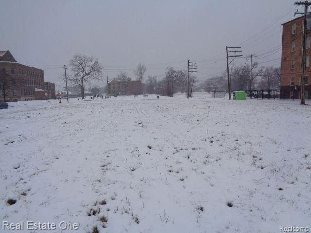 2736 Rochester Street, Detroit, MI 48206