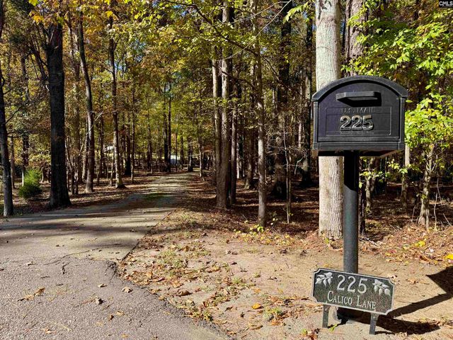 225 Calico Lane, Ridgeway, SC 29130