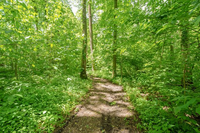 56200 California Road, Pokagon Twp, MI 49047