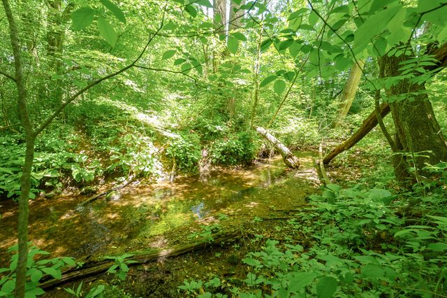 56200 California Road, Pokagon Twp, MI 49047