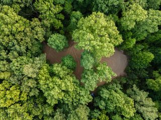 0 Lou Road, Pikeville, TN 37367