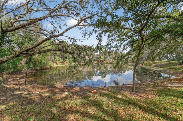 11808 SKYLAKE PLACE D, Temple Terrace, FL 33617