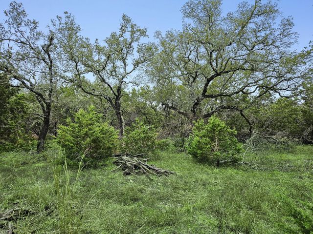 157 Verbena Circle, Spring Branch, TX 78070