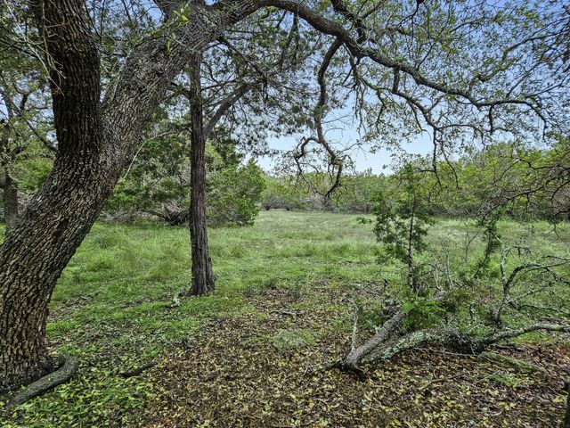 157 Verbena Circle, Spring Branch, TX 78070