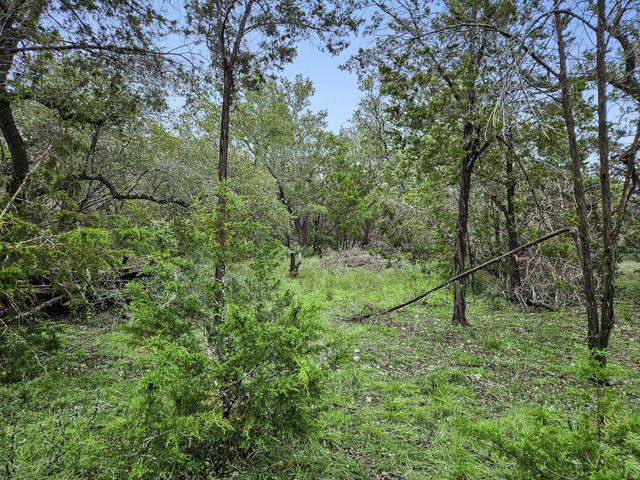 157 Verbena Circle, Spring Branch, TX 78070