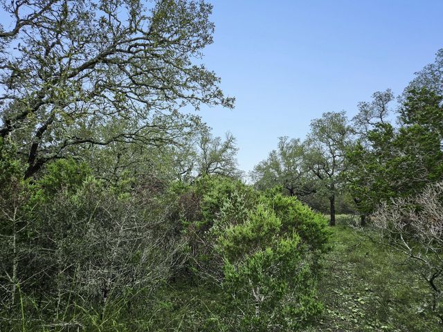 157 Verbena Circle, Spring Branch, TX 78070