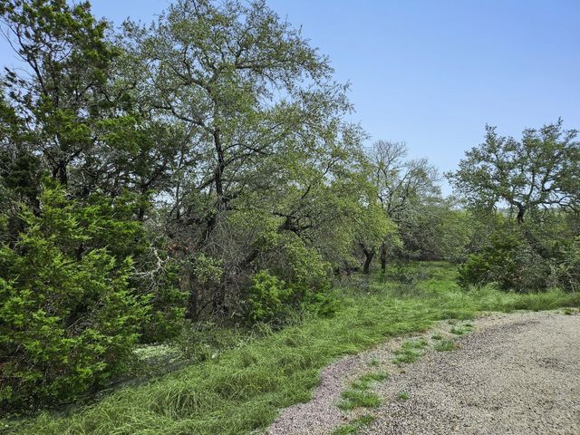 157 Verbena Circle, Spring Branch, TX 78070