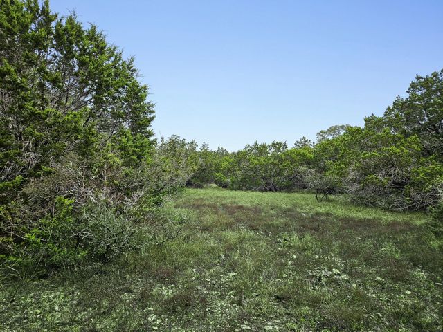 157 Verbena Circle, Spring Branch, TX 78070