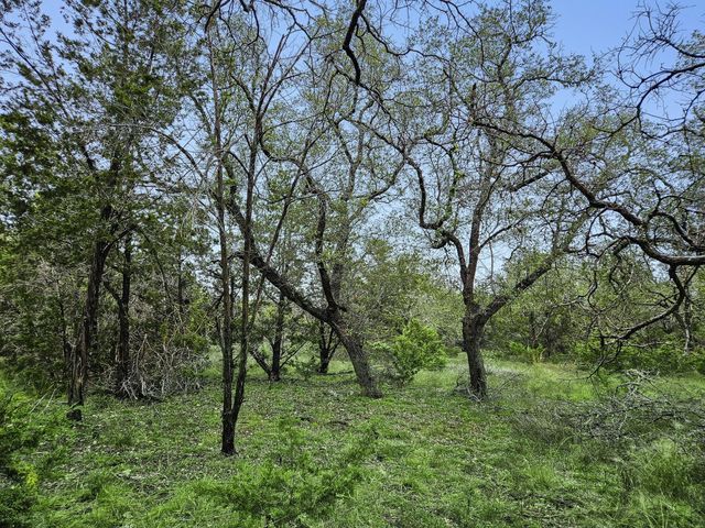 157 Verbena Circle, Spring Branch, TX 78070