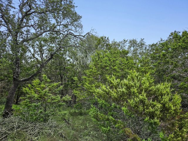 157 Verbena Circle, Spring Branch, TX 78070