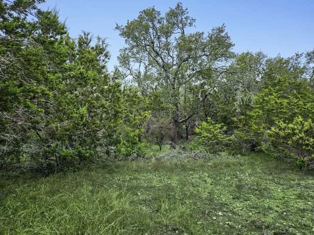 157 Verbena Circle, Spring Branch, TX 78070
