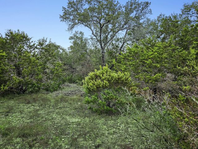 157 Verbena Circle, Spring Branch, TX 78070