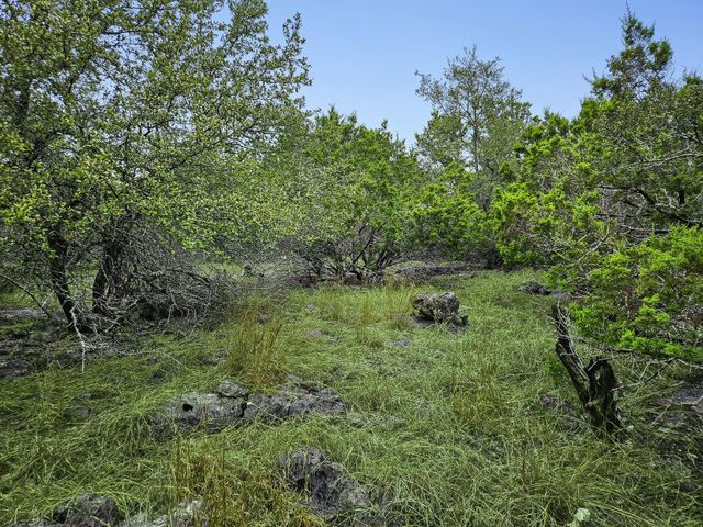 157 Verbena Circle, Spring Branch, TX 78070