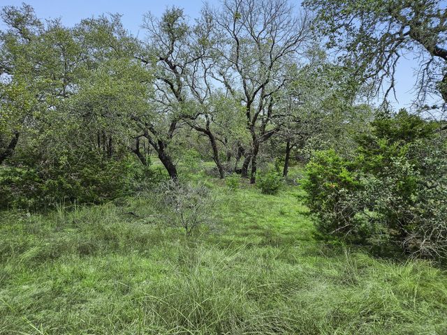 157 Verbena Circle, Spring Branch, TX 78070