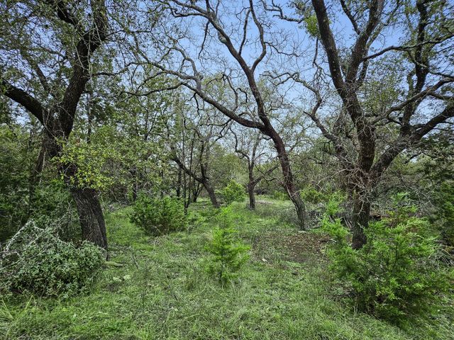 157 Verbena Circle, Spring Branch, TX 78070