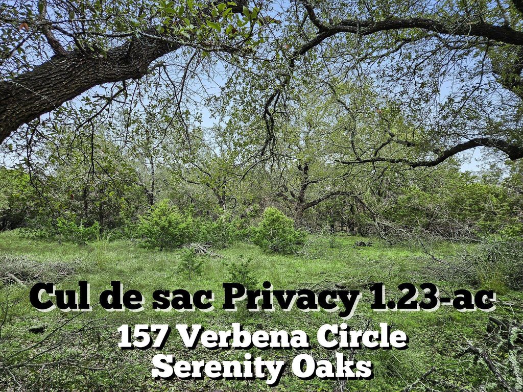 157 Verbena Circle, Spring Branch, TX 78070