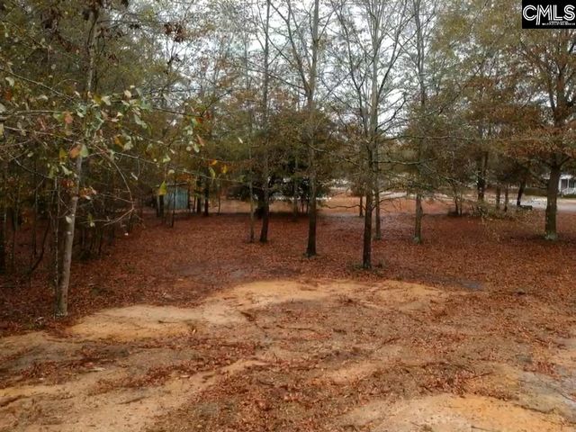 213 Pineview Drive, Swansea, SC 29160