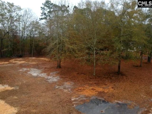 213 Pineview Drive, Swansea, SC 29160