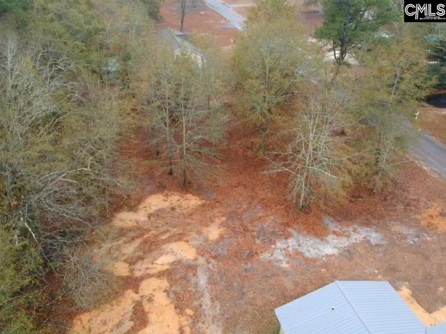 213 Pineview Drive, Swansea, SC 29160