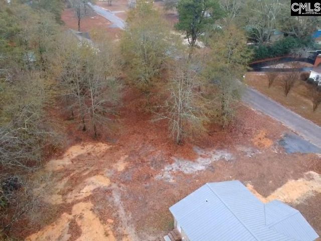 213 Pineview Drive, Swansea, SC 29160