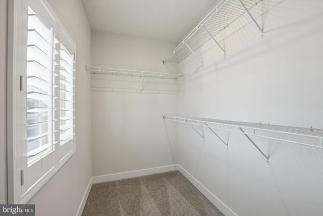 2252 RED PINE LOOP, Dumfries, VA 22026