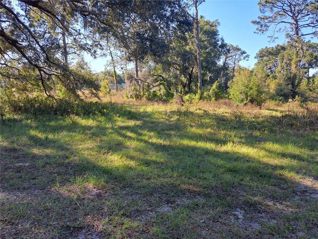 11309 SE HWY 42, Summerfield, FL 34491