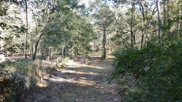 00 County Road 3796, Cleveland, TX 77328