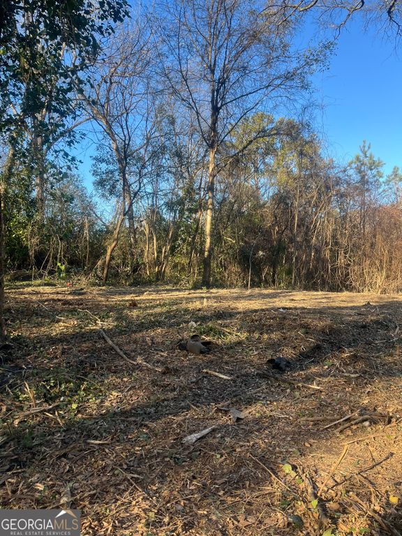 0 old griffin rd, Mcdonough, GA 30253