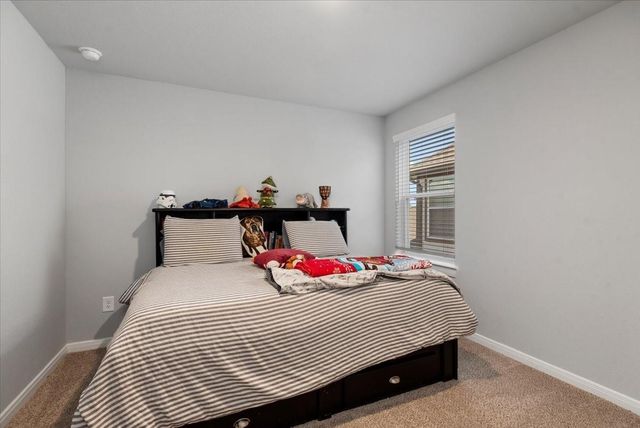 27134 Cutleaf Daisy Court, Hockley, TX 77447