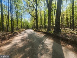 12 ACRES CRITTON OWL HOLLOW ROAD, Slanesville, WV 25444
