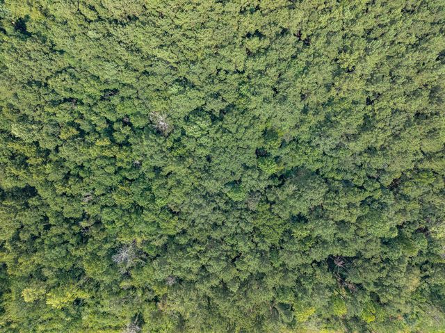 00 W 4th St., Hattiesburg, MS 39402