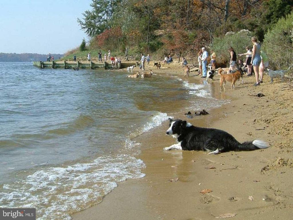 Image 38 of property listing at 16 SILVERWOOD CIR #1, Annapolis, MD 21403