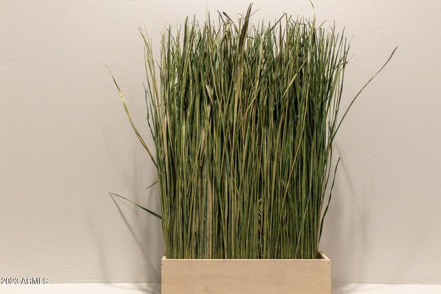 8161 E ALAMEDA Road, Scottsdale, AZ 85255