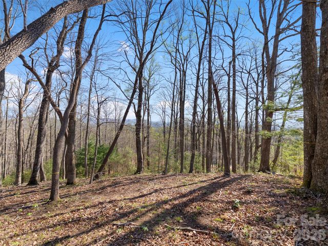 44 Ridge Pine Trail 83, Arden, NC 28704