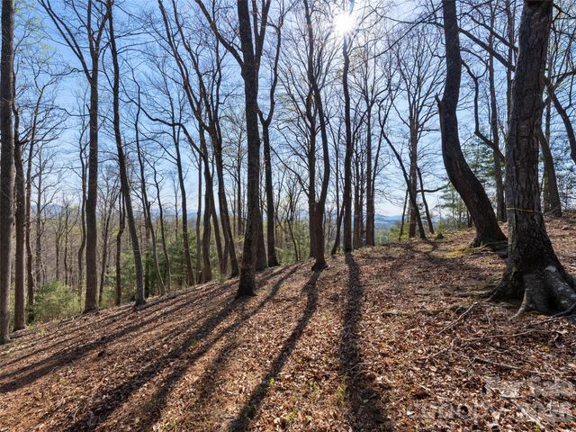 44 Ridge Pine Trail 83, Arden, NC 28704