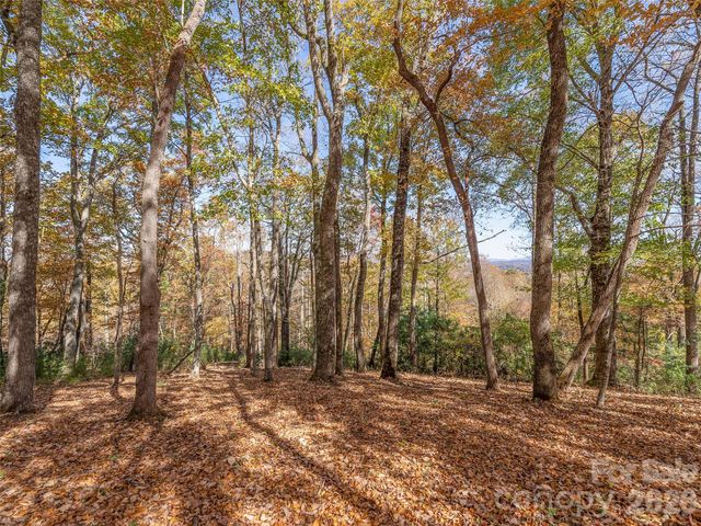 44 Ridge Pine Trail 83, Arden, NC 28704