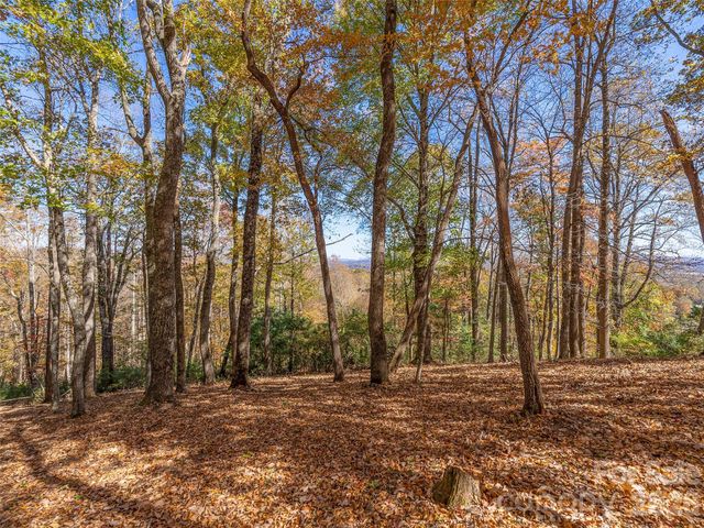 44 Ridge Pine Trail 83, Arden, NC 28704