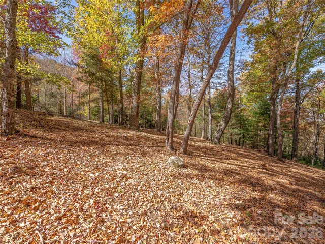 44 Ridge Pine Trail 83, Arden, NC 28704