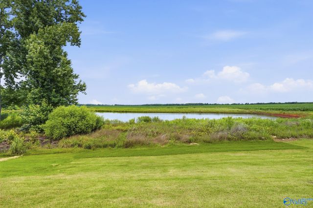 109 Hosel Circle, Meridianville, AL 35759