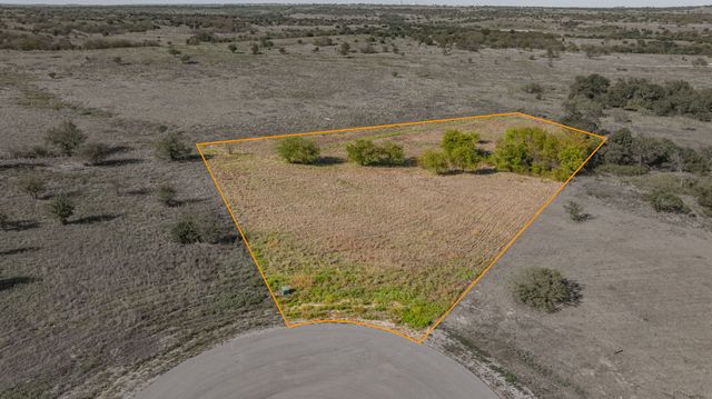 3612 Lucky Pepper Drive, Cresson, TX 76035