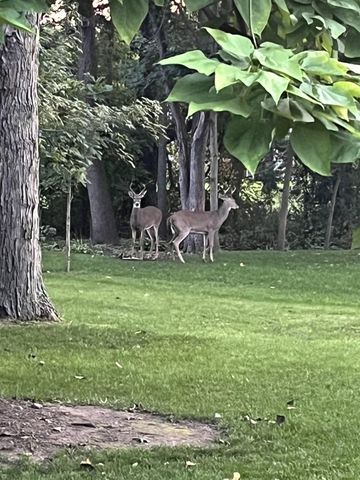 303 Elmwood Drive, Davison, MI 48423