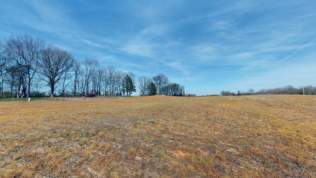 1111 E Robertson Rd, Castalian Springs, TN 37031