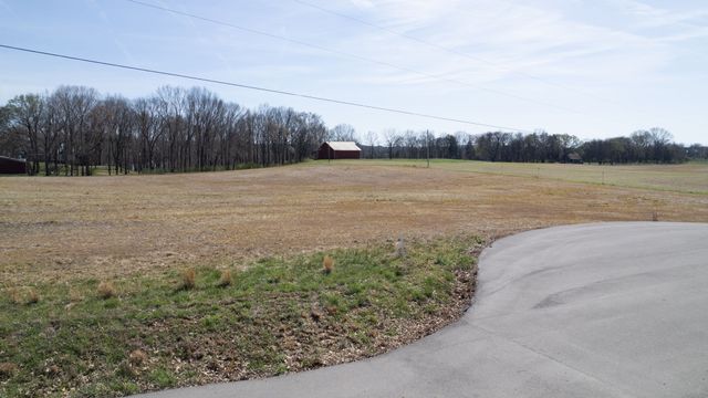1111 E Robertson Rd, Castalian Springs, TN 37031