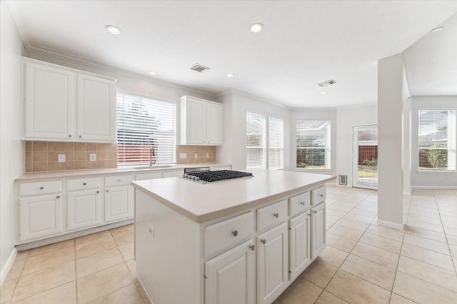 12019 Costa Del Rey Court, Houston, TX 77041