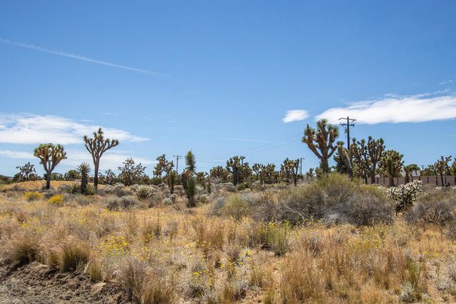 5020 Old Woman Springs Road, Yucca Valley, CA 92284