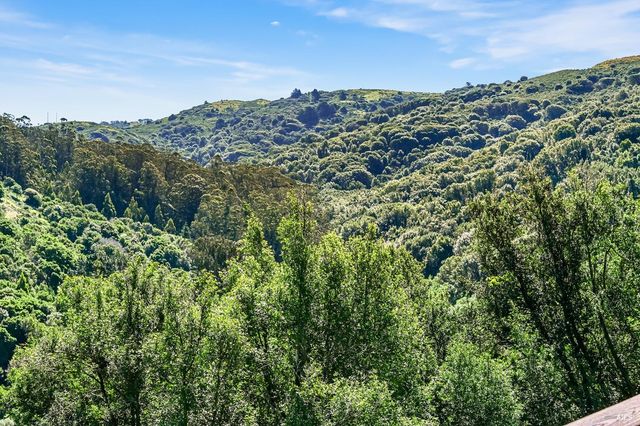 343 Carrera Dr, Mill Valley, CA 94941