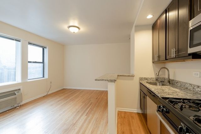 1504 N Dearborn Parkway 204, Chicago, IL 60610