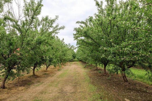 1342 Hickman Rd, Hickman, CA 95323