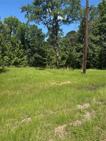 TBD Rose, Red Clover, Livingston, TX 77351